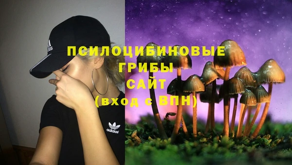не бодяженный Арсеньев