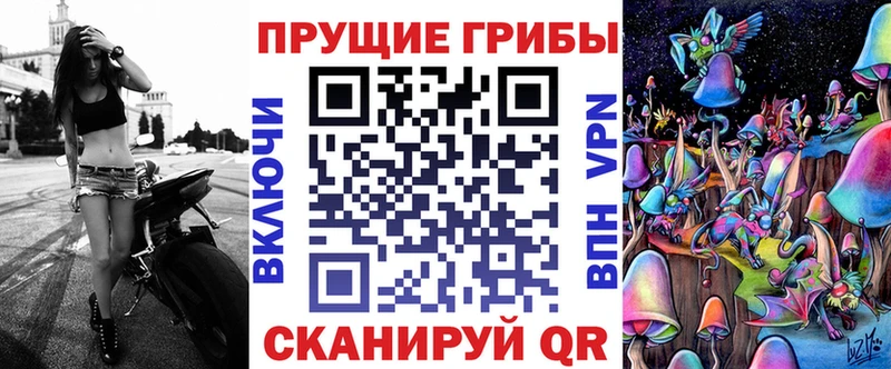 blacksprut ссылка  Богородицк  Псилоцибиновые грибы Psilocybe  наркота 