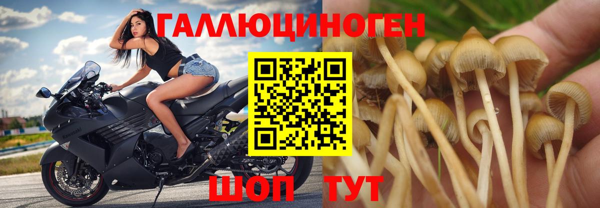 Галлюциногенные грибы MAGIC MUSHROOMS Богородицк